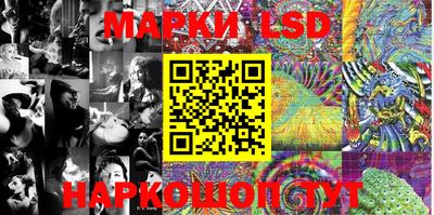 стафф Славгород