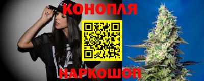 стафф Славгород