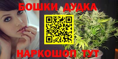 стафф Славгород