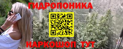 альфа пвп Сланцы