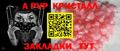 стафф Славгород