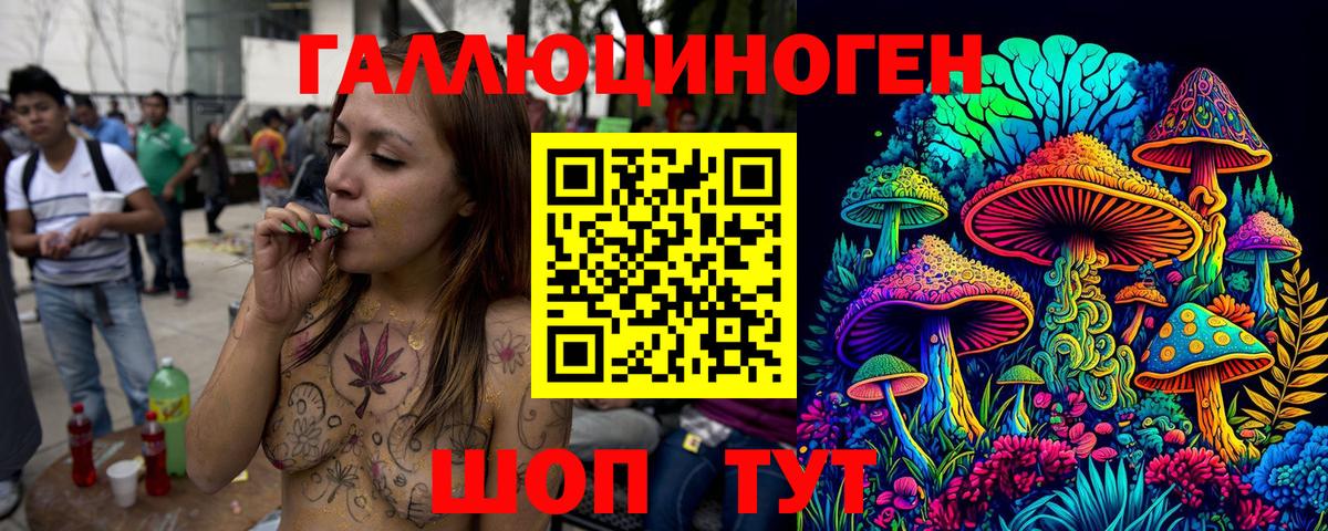 Псилоцибиновые грибы Psilocybe Ноябрьск