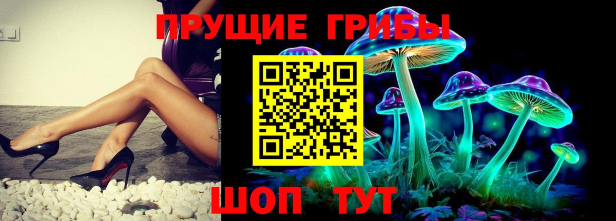 Ноябрьск  Псилоцибиновые грибы Psilocybine cubensis  Псилоцибиновые грибы Psilocybe  Вход с VPN 